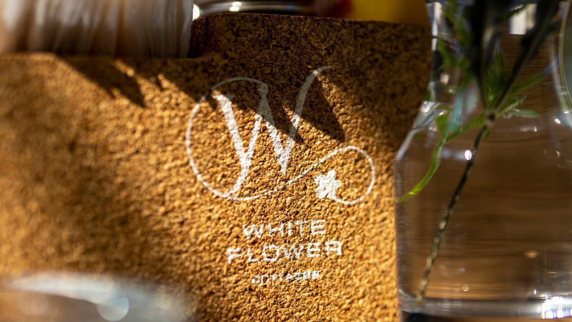 Whiteflower Cottages 瓦加托 外观 照片